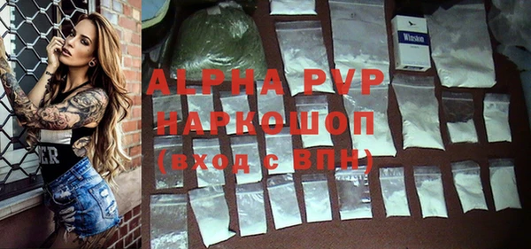 гашик Володарск