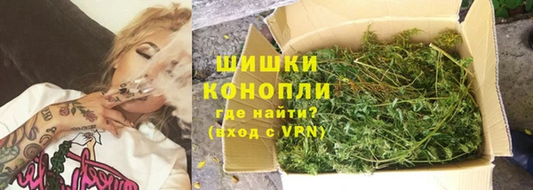 гашик Володарск