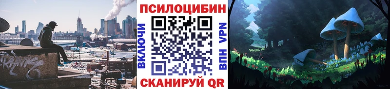 цены   Домодедово  Псилоцибиновые грибы Psilocybe 